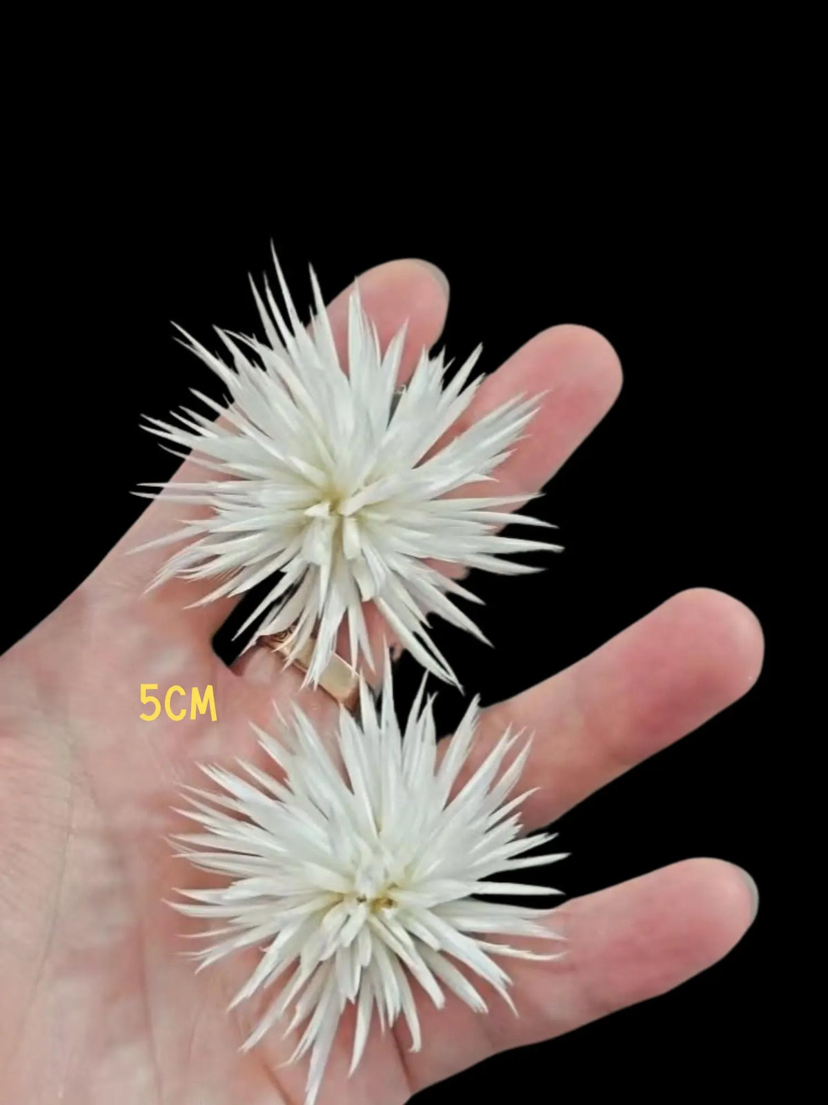 feather flower statement earrings